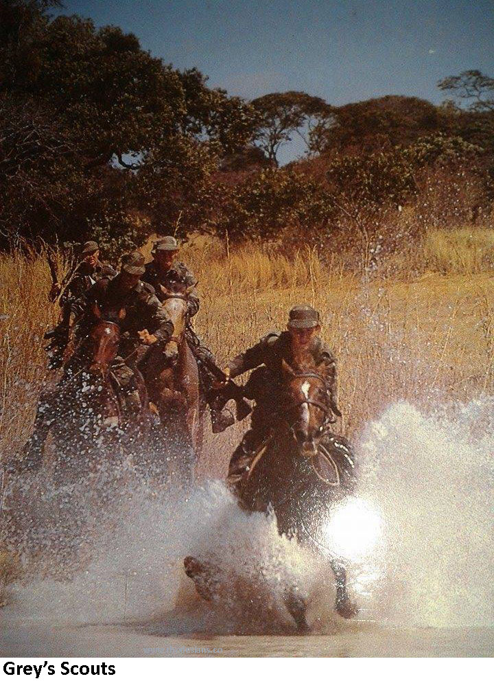 Greys Scouts charging into dam