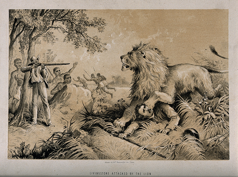 A lion attacked David Livingstone while he was reloading