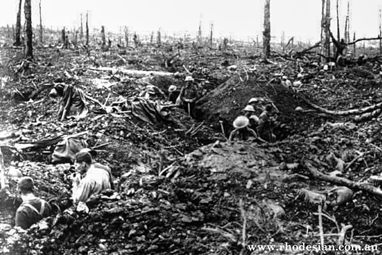 Looking for casualties after Battle for Delville Wood