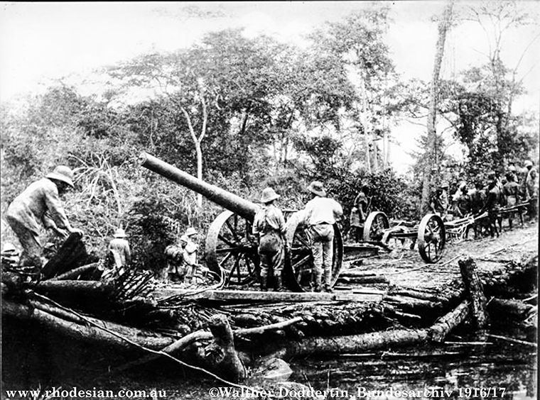 Photo of German artillery being positioned in German East Africa in WWI