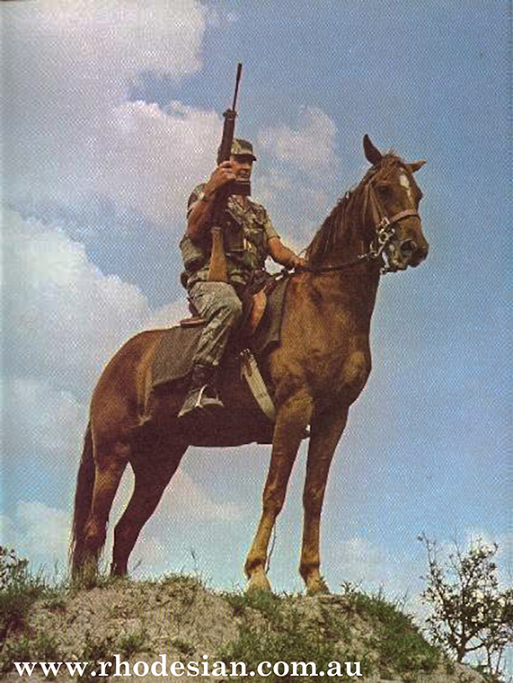 Mounted Infantry called Greys Scouts